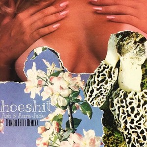 Hoeshit[feat. Ash & Aura Jade] (Finch Fetti Remix|Explicit)
