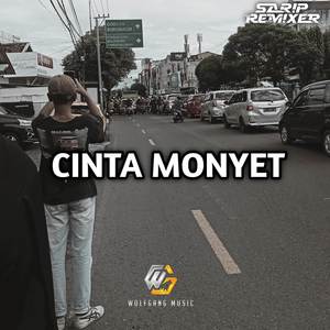 Cinta Monyet (WG)