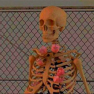 Summer 2015 (Explicit)