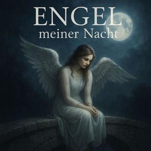 Engel meiner Nacht