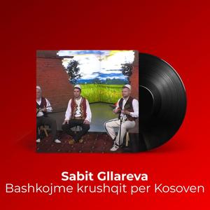 Bashkojme krushqit per Kosoven