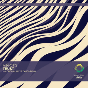 Trust (T Davids Remix)