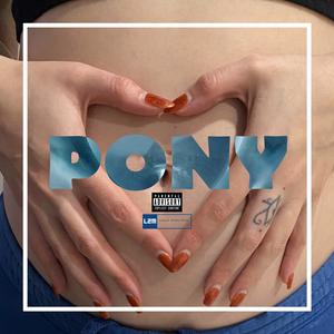PONY (Shordie Flow) (Explicit)
