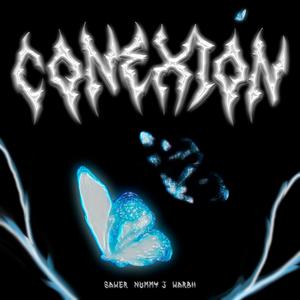 CONEXIÓN (Explicit)