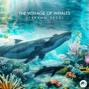 The Voyage of Whales