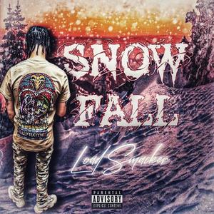 SnowFall (Explicit)