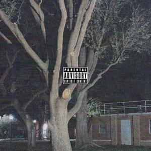 Let You Fall (feat. TRXLLION) (Explicit)