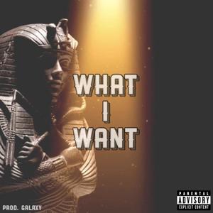 What I Want (Explicit)