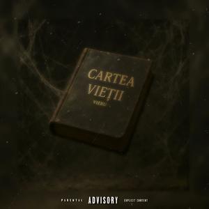 Paragraful 7 (Regretul) (feat. dnzsb) (Explicit)