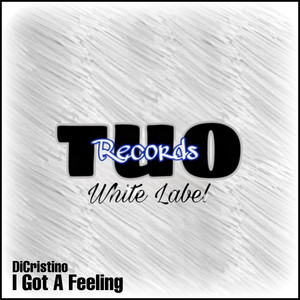 I Got A Feeling (Bklyn Tech Mix)