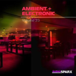 Ambient + Electronic Volume 23