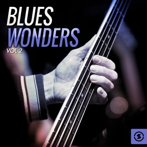 Blues Wonders, Vol. 2
