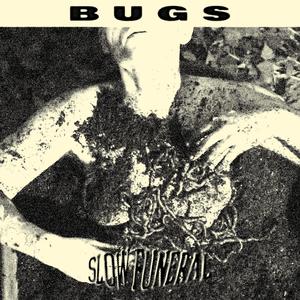 Bugs (Explicit)