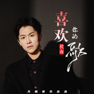 喜欢你的歌 (DJ版伴奏)