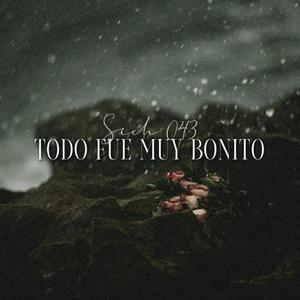 Todo Fue Muy Bonito (Explicit)