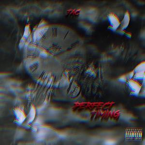 Perfect Timing EP (Explicit)