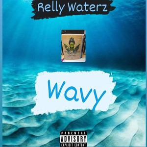 Stay Wavey (Explicit)