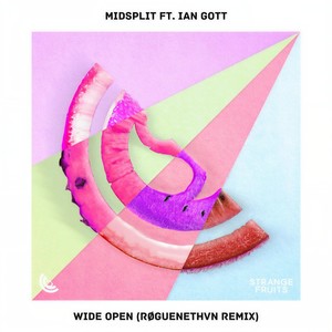 Wide Open(feat. Ian Gott) (RØGUENETHVN Remix)