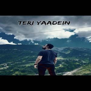 Teri Yaadein