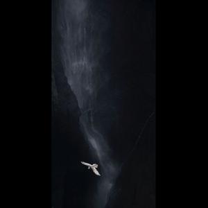 heartless (Explicit)