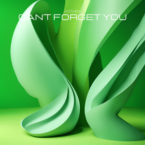 Can't Forget You
