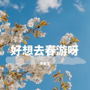 李美文 - 花季旋律 (BGM版) (片段版)