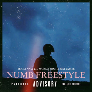 Numb Freestyle (Explicit)