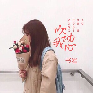 书岩 - 吹动我心