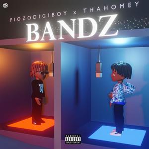 BANDZ (feat. thaHomey) (Explicit)