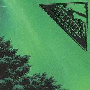 Aurora (feat. Wakai & King $ly) (Explicit)