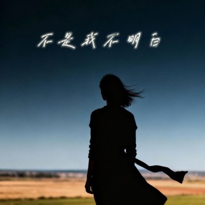 不是我不明白 (R&B版)封面