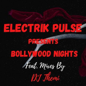 Bollywood Nights