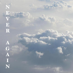 Never Again (feat. John Caudwell)