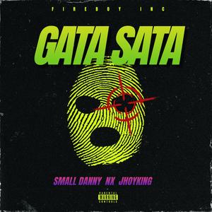 Gata Sata (feat. Nx Diseñando Letra & JhoyKing)