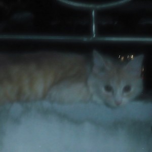 Wake Up ! It's December !