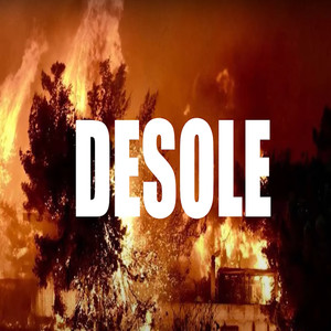 Desole (Explicit)