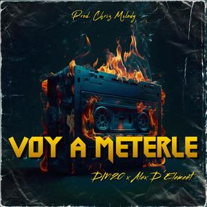 Voy A Meterle (feat. Alex D' Element)