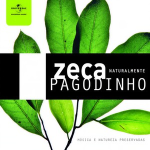 Deixa A Vida Me Levar