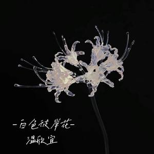 白色彼岸花 (伴奏)