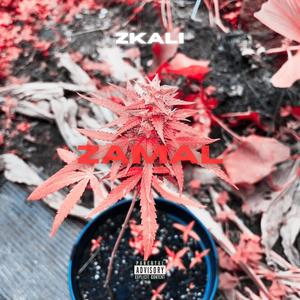 ZAMAL (Explicit)