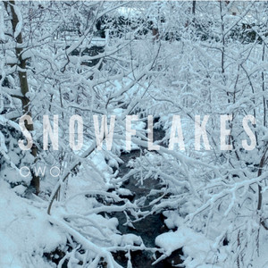 Snowflakes