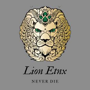 NEVER DIE (EDM)