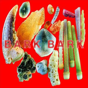 ELEPHANT IN THE ROOM (Explicit)