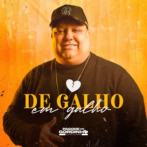 De Galho Em Galho (Pagode Do Gordinho)