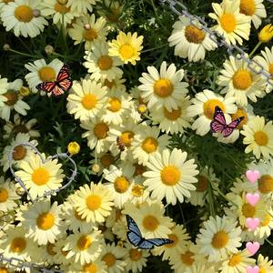 L.A. Hotels (Explicit)