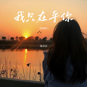 我只在乎你 (氛围版)