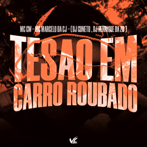 Tesao em Carro Roubado (Explicit)