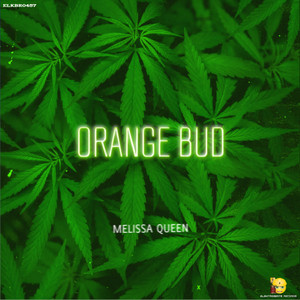 Orange Bud