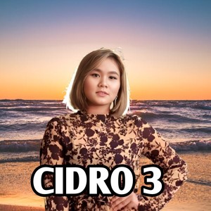 CiDRO 3