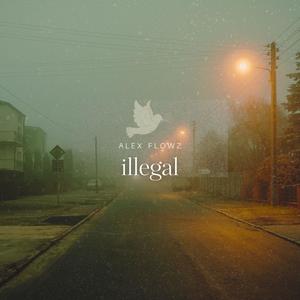 illegal (Explicit)